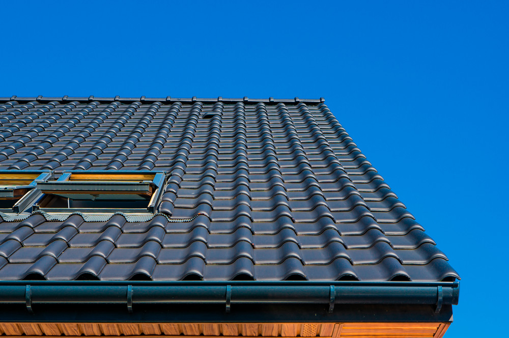 Blog - Bio Home Roma