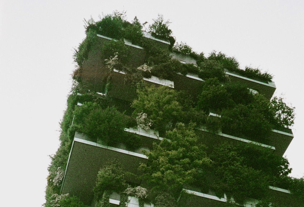 Blog - Bio Home Roma