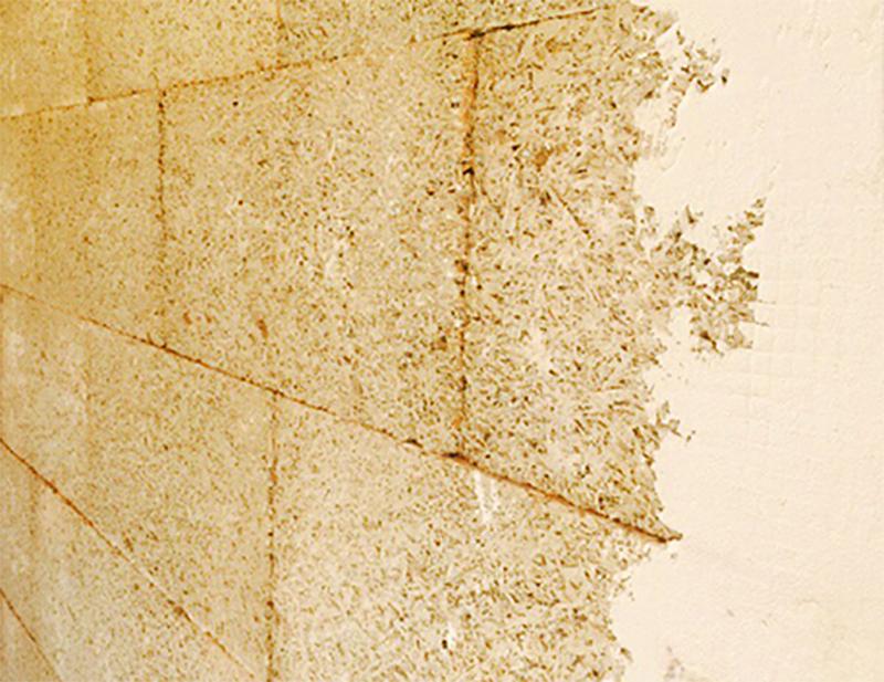 viaestensi-4